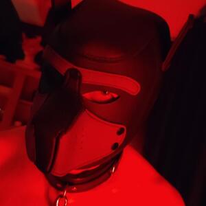 Maitresse-sacha-67 MYM