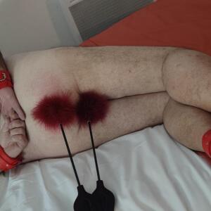 Maitresse-sacha-67 MYM