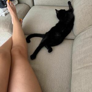 Mariiamiau MYM