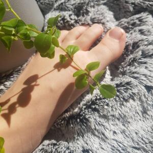 Mes-petits_pieds MYM