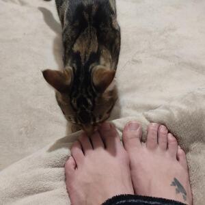 Miaoupied MYM