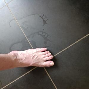 Michaelpinkfeet MYM