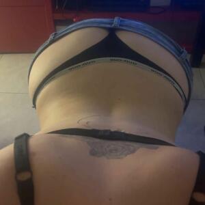 Minicat245 MYM