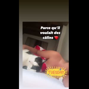 Minuitbaby MYM