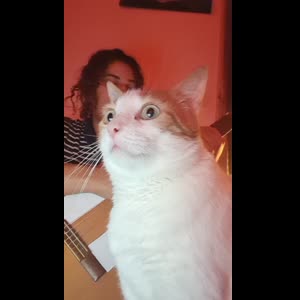 Mirah_medusa MYM