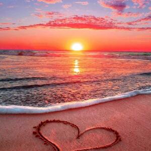 My_loveee MYM