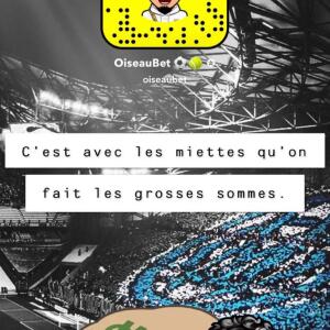 Oiseaubet MYM