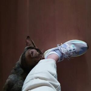 Opale_g03 MYM