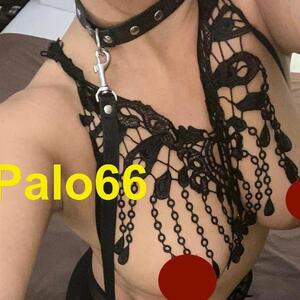 Palo66 MYM