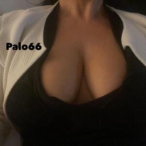 Palo66 MYM