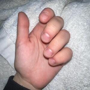 Pied_main69 MYM
