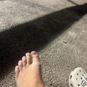 Pied_perfect MYM