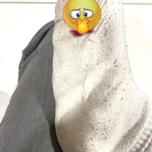 Pied_pied1010 MYM