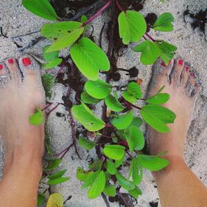 Pieds_desires MYM
