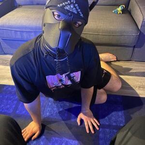 Pup_link MYM
