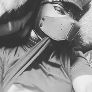 Pup_link MYM