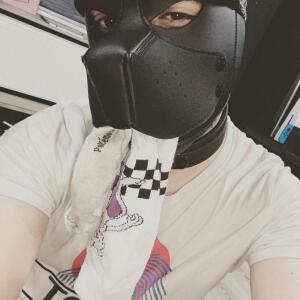 Pup_link MYM