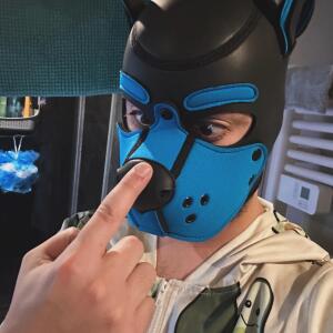 Pup_link MYM