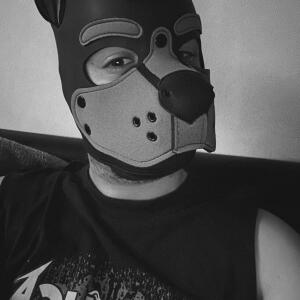 Pup_link MYM