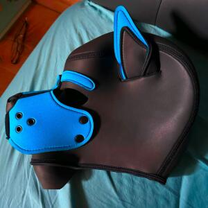 Pup_link MYM