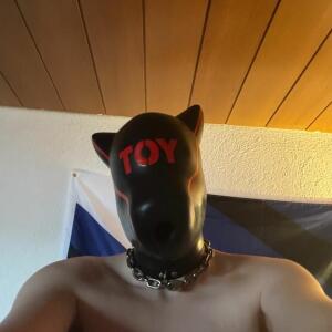 Puppy_rudi MYM