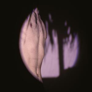 Rainbody_13 MYM