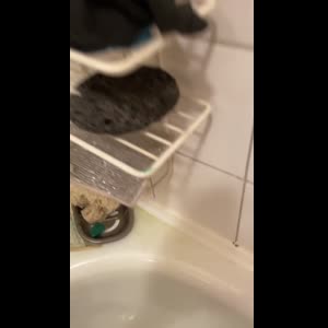 Rbdz69yz MYM