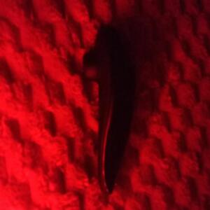 Seb_chambre-rouge MYM
