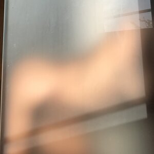 Sexysun MYM