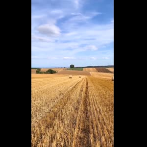 Sophie_sexuropieds MYM