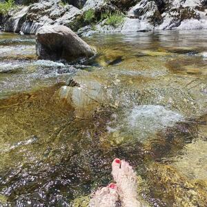 Sudfeet MYM