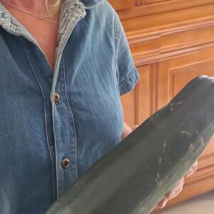Sylmilf-libertine-mature-sexe-porno MYM