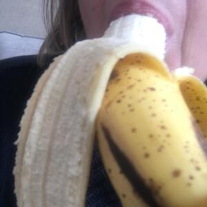 Tresorcoquine MYM