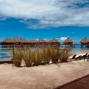 Vahine_tahiti987_ MYM