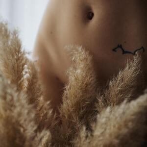 Vincent_v_sensual_art MYM