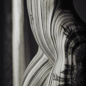 Vincent_v_sensual_art MYM