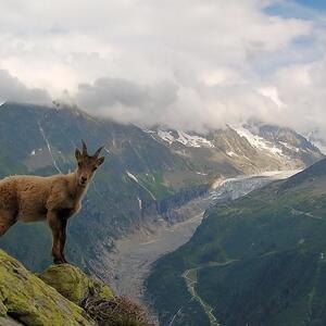 Zoomvision_trekking MYM