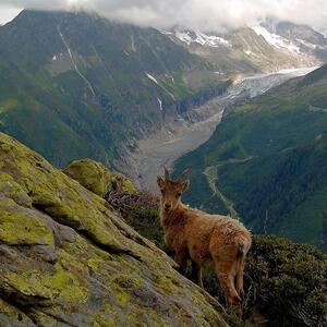 Zoomvision_trekking MYM