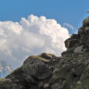 Zoomvision_trekking MYM