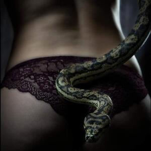_darkover_ MYM
