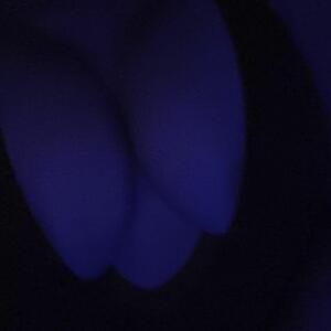 hot_foxy MYM
